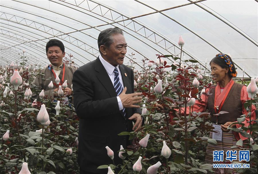 （壯麗70年·奮斗新時代——共和國榮光）（3）民族團結的楷模——熱地