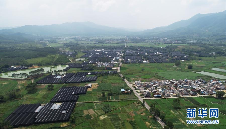 （在習近平新時代中國特色社會主義思想指引下——新時代新作為新篇章·總書記關心的百姓身邊事·圖文互動）（1）“科技秀才”給田野帶來新希望