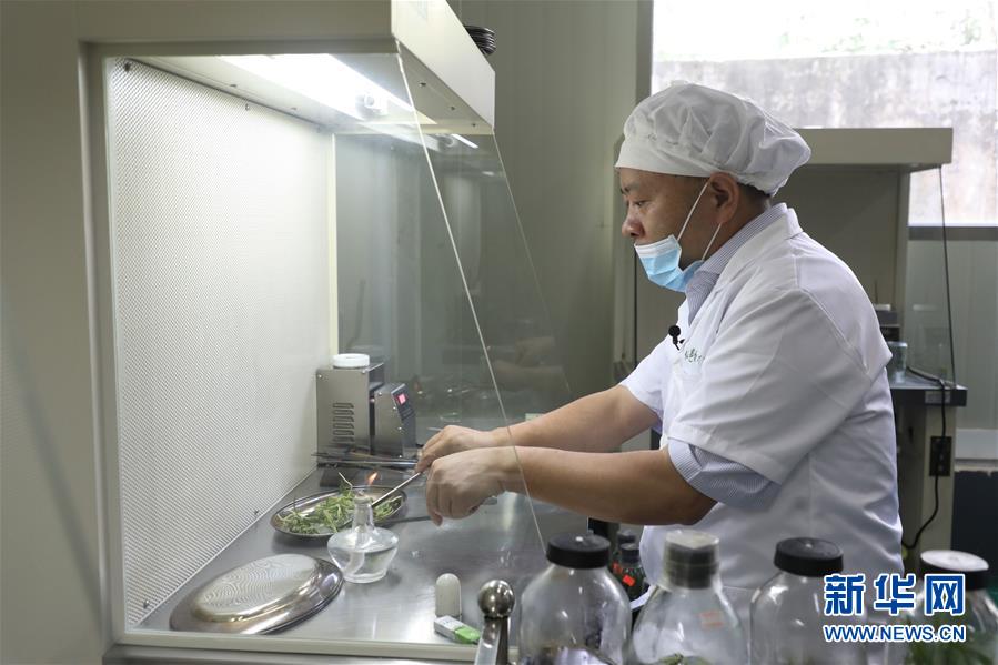 （在習近平新時代中國特色社會主義思想指引下——新時代新作為新篇章·總書記關心的百姓身邊事·圖文互動）（5）“科技秀才”給田野帶來新希望