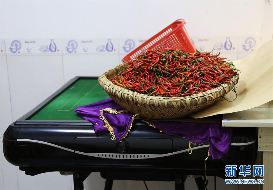 （四中全會精神在基層·圖文互動）（2）特寫：麻將桌“失業”記