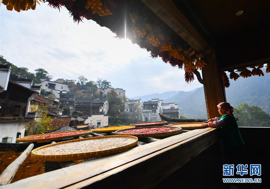 （圖文互動）（5）鄉村攝影師、鄉村“模特”、民宿店主——鄉村旅游推動婺源農民生活方式發生新變化