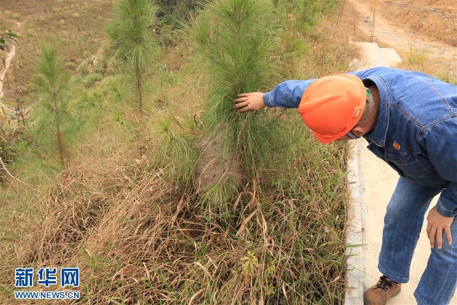 (生態(tài)文明建設·圖文互動)(3)粵北生態(tài)發(fā)展區(qū)筑牢粵港澳大灣區(qū)綠色屏障