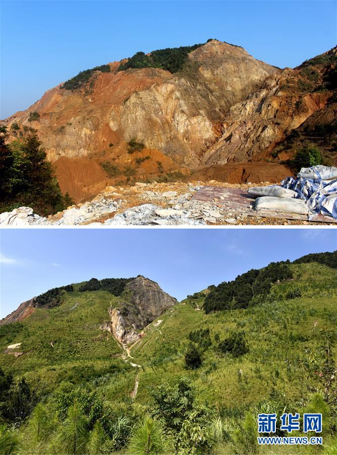 (生態(tài)文明建設·圖文互動)(4)粵北生態(tài)發(fā)展區(qū)筑牢粵港澳大灣區(qū)綠色屏障