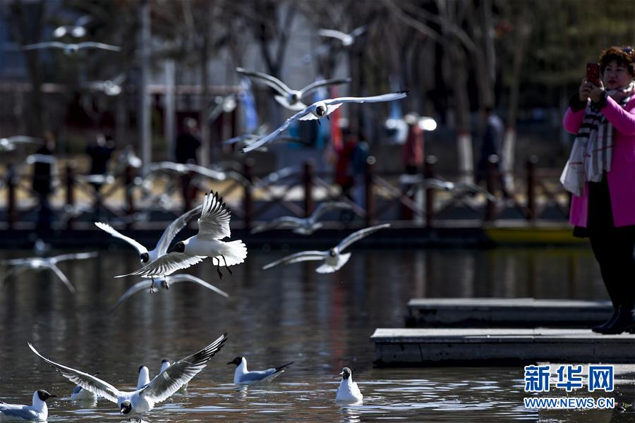 (新華全媒頭條·圖文互動)(15)從水困到水興——寧夏“水樣本”中的發展密碼
