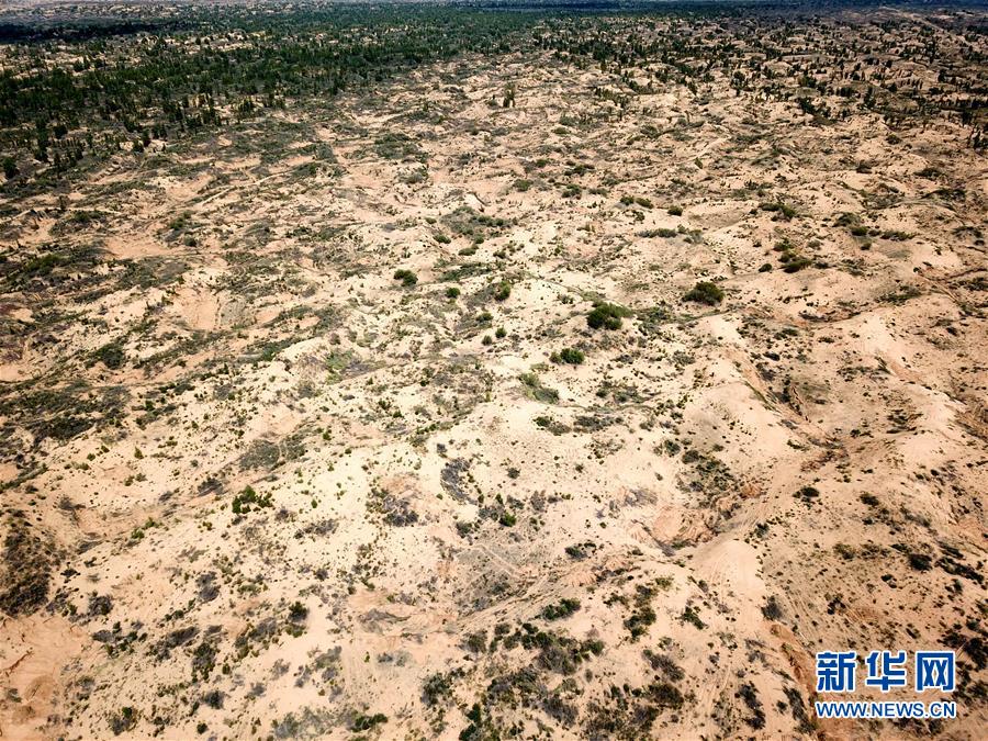 (圖文互動)(2)陜西榆林毀林建光伏電站追蹤:還有哪些疑團有待破解?