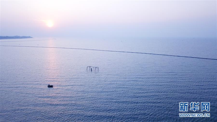 (新華全媒頭條·圖文互動)(2)大湖見證——長三角三大淡水湖綠色發(fā)展之路