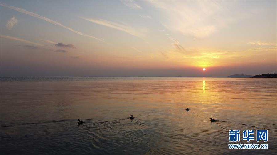 (新華全媒頭條·圖文互動)(4)大湖見證——長三角三大淡水湖綠色發(fā)展之路