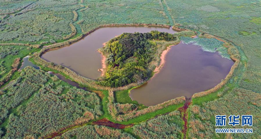 (新華全媒頭條·圖文互動)(13)大湖見證——長三角三大淡水湖綠色發(fā)展之路