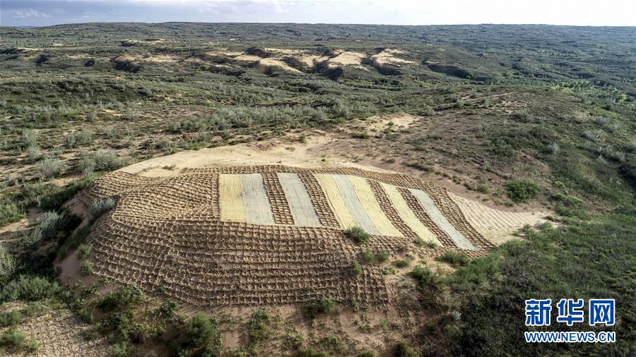 (在習近平新時代中國特色社會主義思想指引下——新時代新作為新篇章·總書記關切高質量發展·圖文互動)(1)從一粒沙看不斷擴大的中國綠色版圖