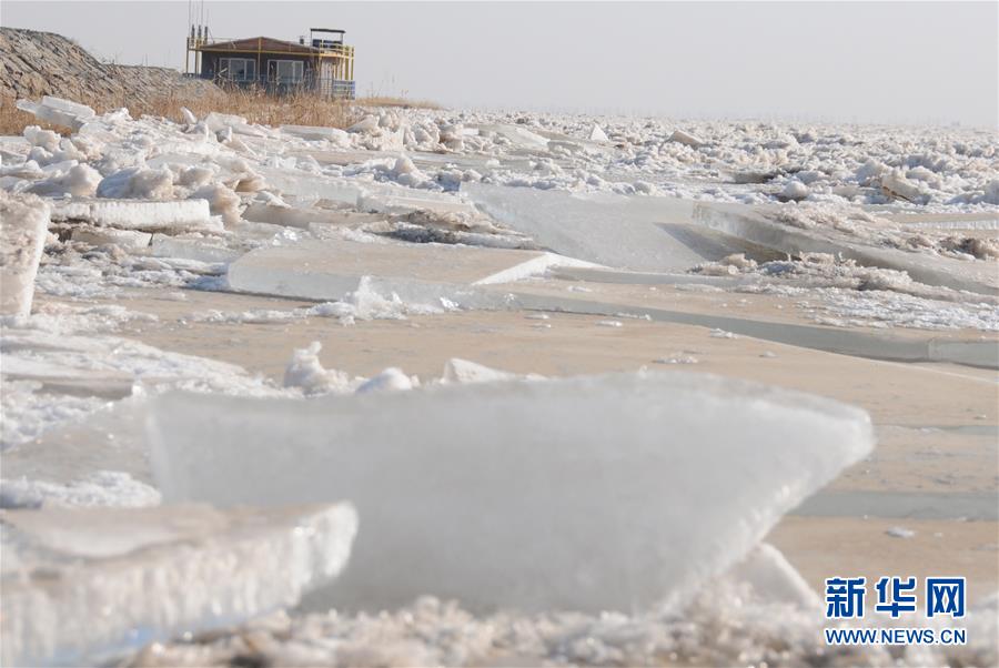 (圖文互動)(2)千里冰封 黃河內(nèi)蒙古段持續(xù)封河