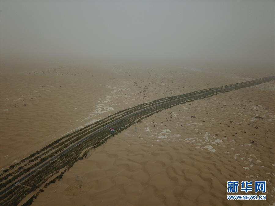 (新華全媒頭條·圖文互動)(1)塔克拉瑪干的“播綠使者”——中科院新疆生態(tài)與地理研究所高級工程師常青的故事