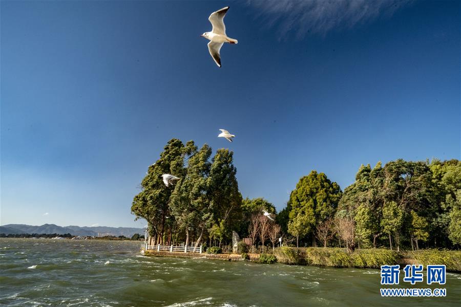 （圖文互動(dòng)）（7）跨越發(fā)展起宏圖 信心滿懷著華章——習(xí)近平總書(shū)記考察云南回訪記