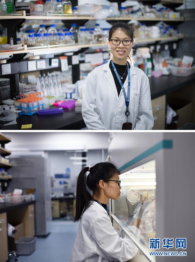 (新華全媒頭條·圖文互動(dòng))(1)創(chuàng)造中華民族的偉大歷史時(shí)間——寫在農(nóng)歷庚子鼠年春節(jié)到來(lái)之際