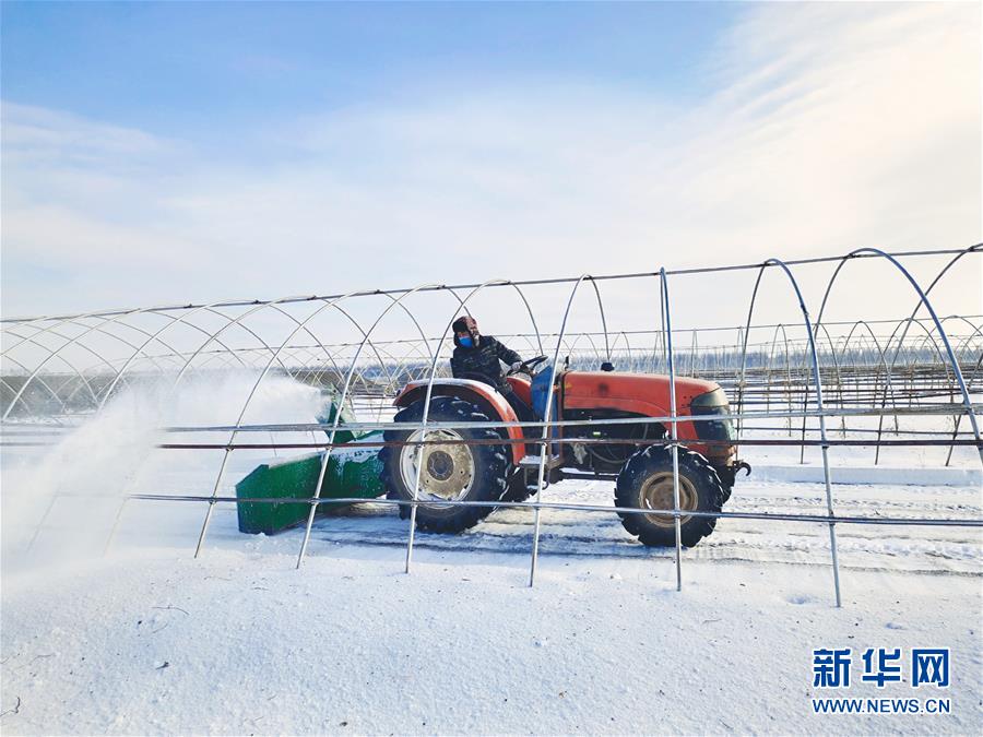 (春耕備耕·圖文互動)(2)“疫”線賽農時 播種新希望——產糧大省黑龍江別樣“備耕圖”