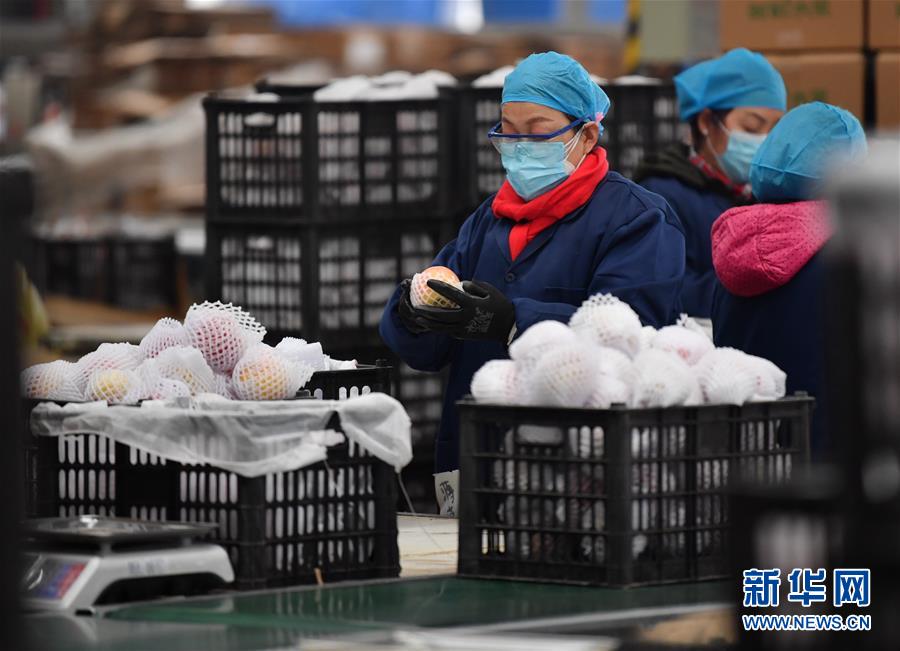 （聚焦疫情防控·圖文互動）（4）“一輛輛車出發(fā)，春暖花開的日子就不遠(yuǎn)了”——西北電商大縣陜西省武功縣復(fù)工見聞