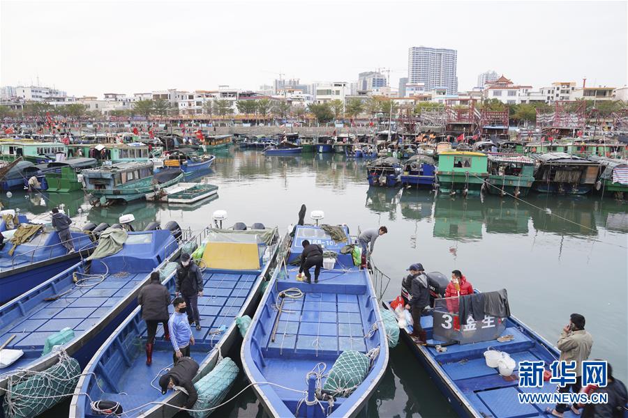 (圖文互動)(1)與疫情抗爭 與春光同行——廣西農村春耕備耕一線觀察