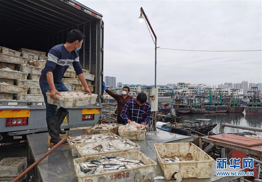 (圖文互動)(5)與疫情抗爭 與春光同行——廣西農村春耕備耕一線觀察