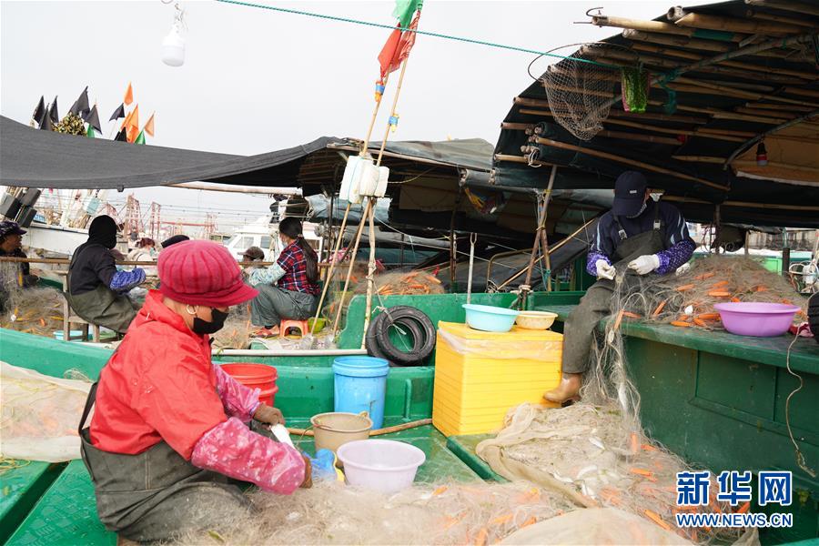 (圖文互動)(2)與疫情抗爭 與春光同行——廣西農村春耕備耕一線觀察