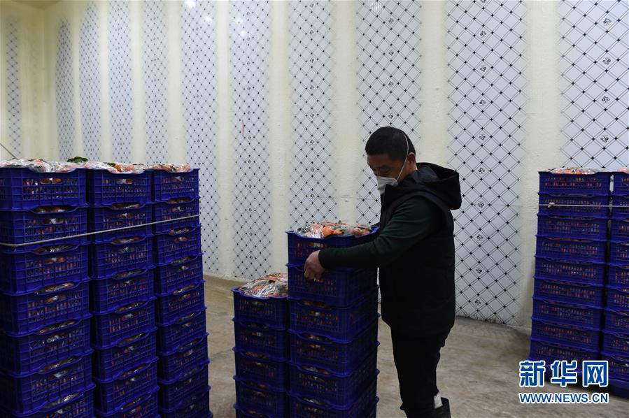 (圖文互動)(7)與疫情抗爭 與春光同行——廣西農村春耕備耕一線觀察