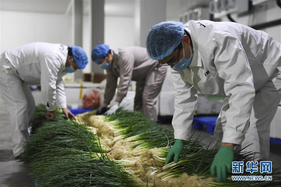 （圖文互動）（6）“早一天復工，損失就少一點”——廣西以精準防控推動復工復產(chǎn)一線見聞