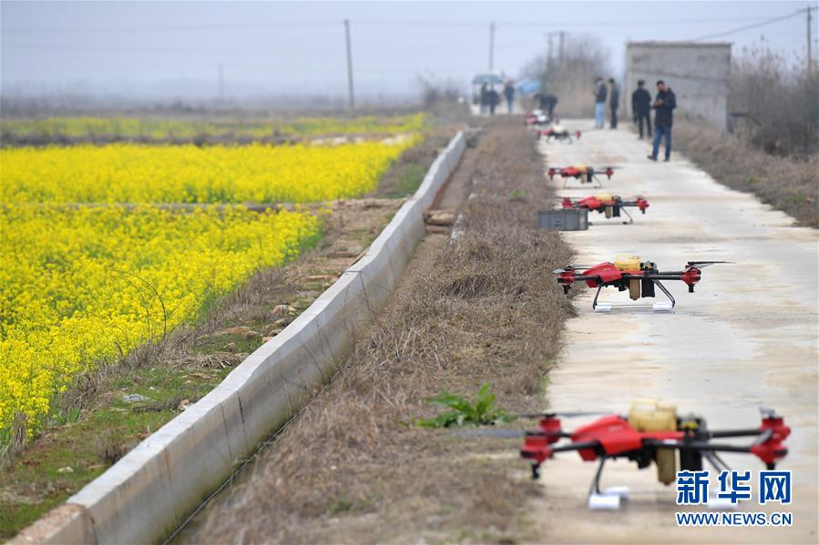 （抓好春耕備耕 穩住農業生產·圖文互動）（4）智能農機、“訂單”服務、“云端”種菜——來自江西的春耕“新事”