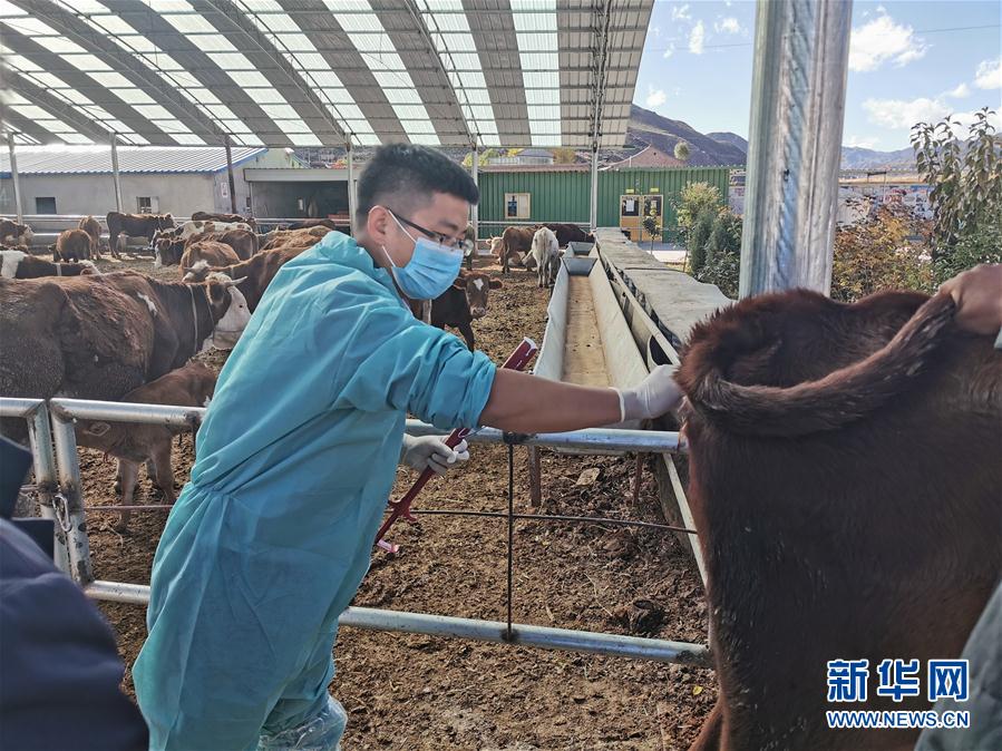 (決戰(zhàn)決勝脫貧攻堅(jiān)·圖文互動(dòng))(2)脫貧“不暫停” 服務(wù)“不打烊”——天津通過(guò)“云端”幫扶為甘肅受援地區(qū)戰(zhàn)貧繼續(xù)助力