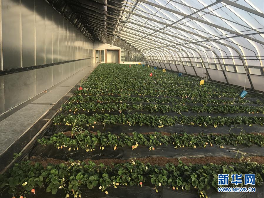 (圖文互動)(2)產業變綠 石墨變金 環境變美——“煤城”三變孕育春的生機