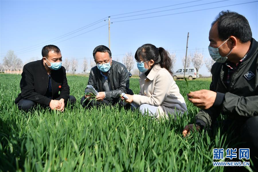 (新華全媒頭條·圖文互動(dòng))(8)春色最濃在田間——來(lái)自全國(guó)春耕備耕的現(xiàn)場(chǎng)觀(guān)察