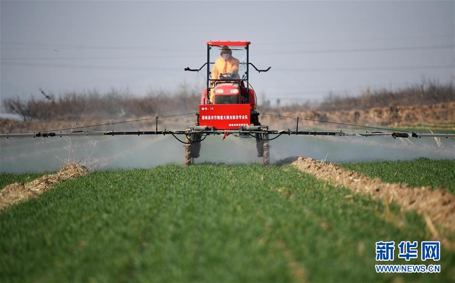 (新華全媒頭條·圖文互動(dòng))(9)春色最濃在田間——來(lái)自全國(guó)春耕備耕的現(xiàn)場(chǎng)觀(guān)察