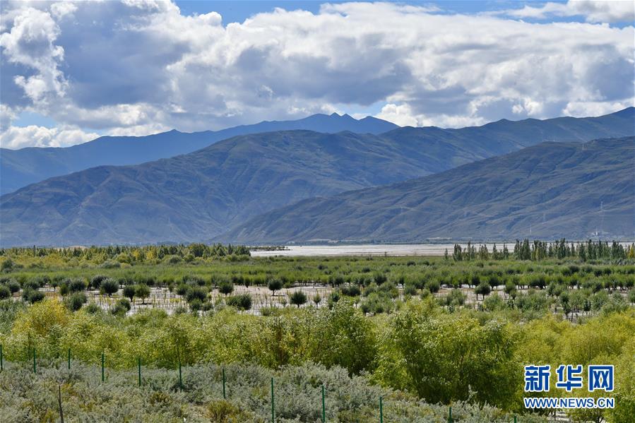 （圖文互動(dòng)）（4）“今天的生活，就像夢(mèng)里夢(mèng)到那樣甜”——寫(xiě)在西藏百萬(wàn)農(nóng)奴解放61周年之際