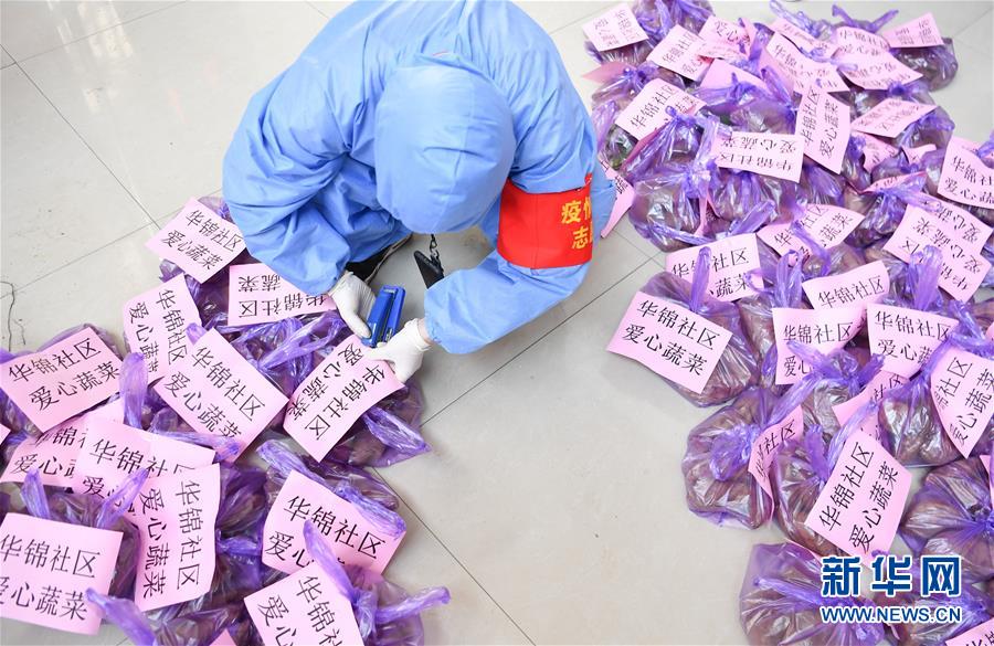 （習近平致敬的戰“疫”英雄·志愿者篇·圖文互動）（11）他們，微光成炬照征程