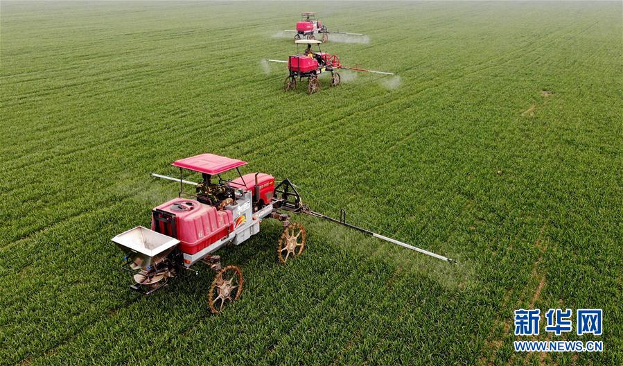 (新華全媒頭條·圖文互動)(3)春天,匯聚復蘇的力量——寫在2020年首季中國經濟收官之際