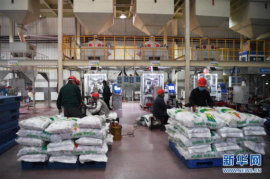 （抓好春耕備耕 穩住農業生產·圖文互動）（3）走向泥土是我們的終極夢想——一粒種子的自述