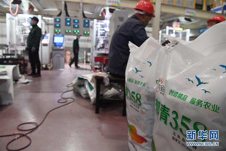 （抓好春耕備耕 穩住農業生產·圖文互動）（5）走向泥土是我們的終極夢想——一粒種子的自述