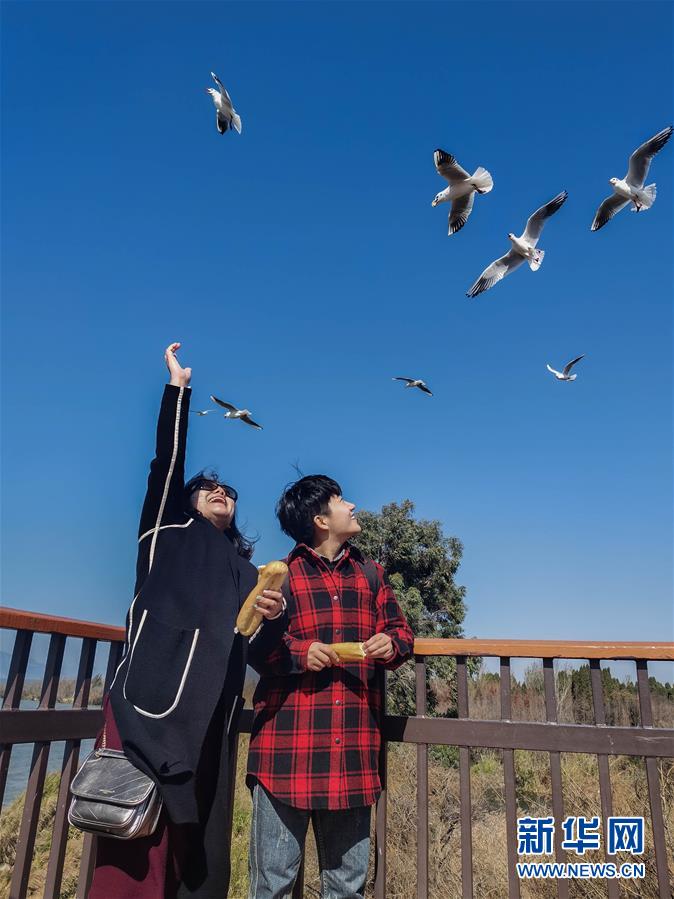 （一線抗疫群英譜·圖文互動）（1）大學生志愿者譚藝西：在武漢，我和媽媽共戰“疫”