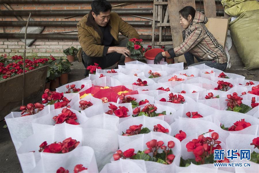 （在習近平新時代中國特色社會主義思想指引下——新時代新作為新篇章·習近平總書記關切事·圖文互動）（1）希望的田野，希望的春天——各地農業生產新動態掃描