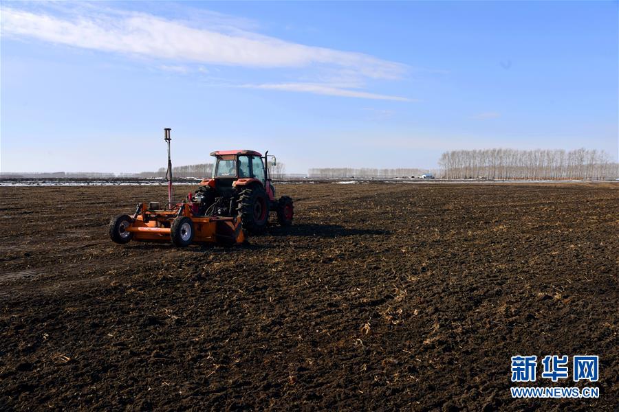 （在習近平新時代中國特色社會主義思想指引下——新時代新作為新篇章·習近平總書記關切事·圖文互動）（4）希望的田野，希望的春天——各地農業生產新動態掃描