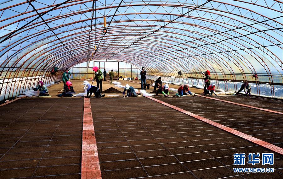 （在習近平新時代中國特色社會主義思想指引下——新時代新作為新篇章·習近平總書記關切事·圖文互動）（5）希望的田野，希望的春天——各地農業生產新動態掃描