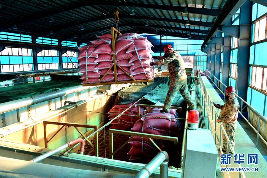 （在習近平新時代中國特色社會主義思想指引下——新時代新作為新篇章·習近平總書記關切事·圖文互動）（6）希望的田野，希望的春天——各地農業生產新動態掃描