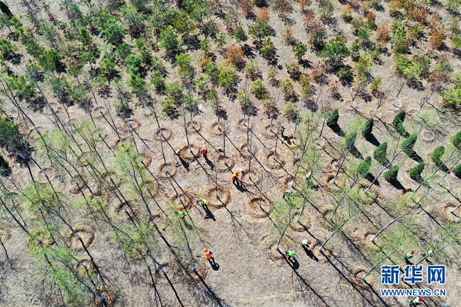 (新華全媒頭條·圖文互動(dòng))(5)雄安畫卷徐徐鋪展 “未來之城”蓄勢(shì)待發(fā)——雄安新區(qū)設(shè)立三周年巡禮