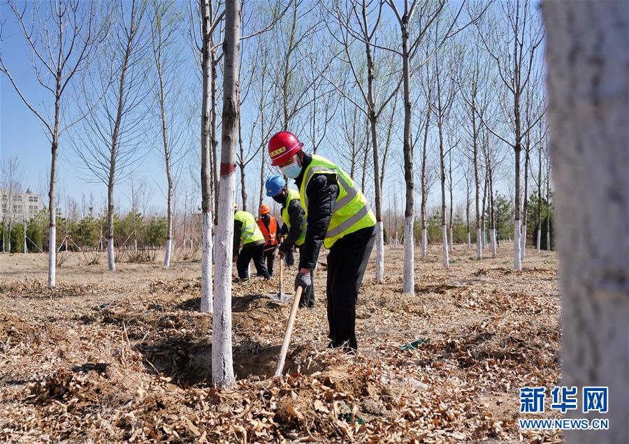 (新華全媒頭條·圖文互動(dòng))(8)雄安畫卷徐徐鋪展 “未來之城”蓄勢(shì)待發(fā)——雄安新區(qū)設(shè)立三周年巡禮
