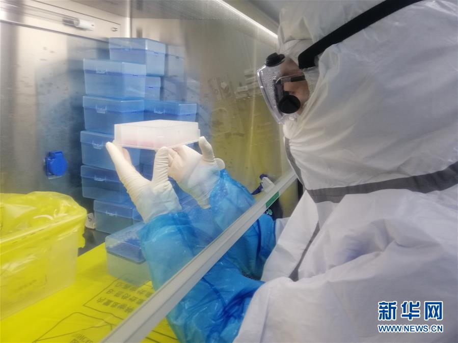 (一線抗疫群英譜·圖文互動)(2)“95后”大學生郝鶯歌:退掉車票,她選擇直面病毒