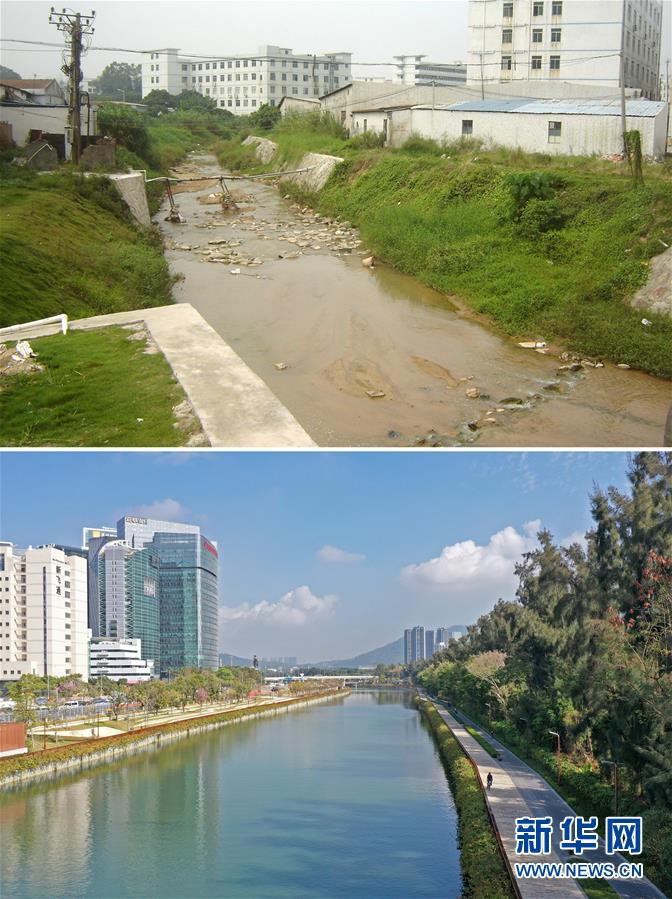 (新華全媒頭條·圖文互動)(2)為有源頭清水來——深圳“馴水記”