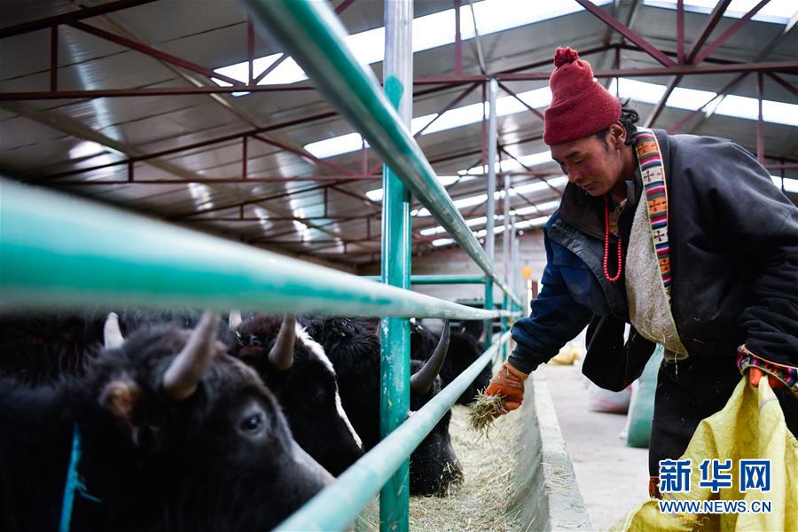 (圖文互動)(15)青海省所有貧困縣脫貧摘帽