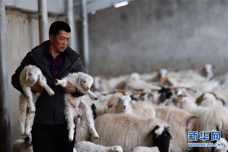 (圖文互動)(17)青海省所有貧困縣脫貧摘帽