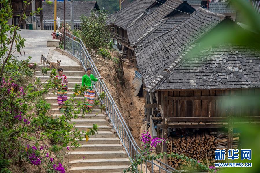 (決戰(zhàn)決勝脫貧攻堅·圖文互動)(2)“孩子再也不用學(xué)打獵了”——拉祜族女獵手告別狩獵