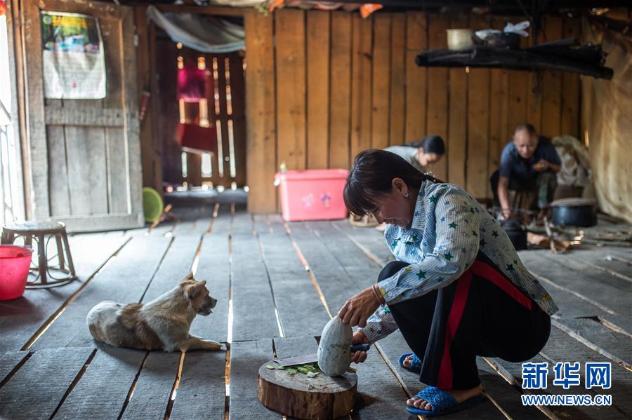 (決戰(zhàn)決勝脫貧攻堅·圖文互動)(8)“孩子再也不用學(xué)打獵了”——拉祜族女獵手告別狩獵