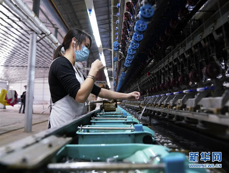 (決戰決勝脫貧攻堅·圖文互動)(4)貧困戶的“收入賬”——廣西極貧縣隆林各族自治縣見聞