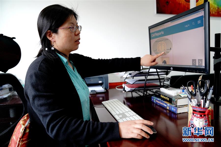 （圖文互動）（1）攻擊行為如何被大腦控制？科學家在小鼠大腦中發現“調節開關”