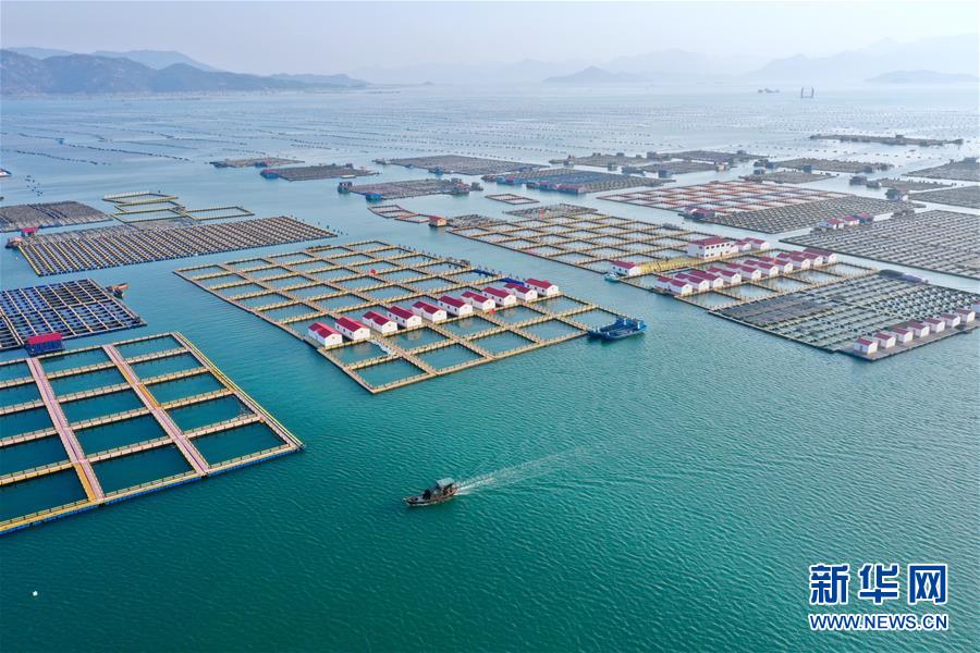 （新華全媒頭條·圖文互動）（10）永遠的夢想 永恒的追求——寫在北京世園會開幕一周年之際